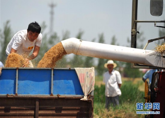 图片暂时加载不出来